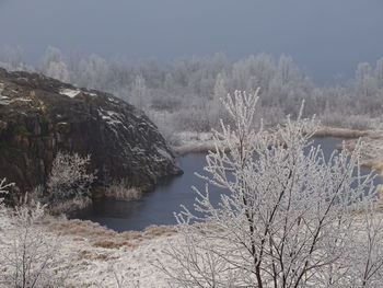 Bare trees on snow covered land against sky