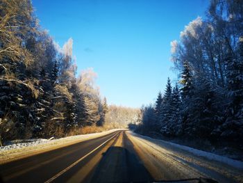 Empty road amidst trees against sky