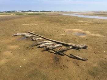 High angle view of driftwood on beach