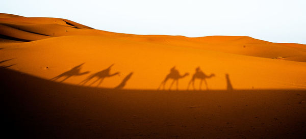 Scenic view of desert against clear sky