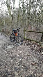 Man riding bicycle on field