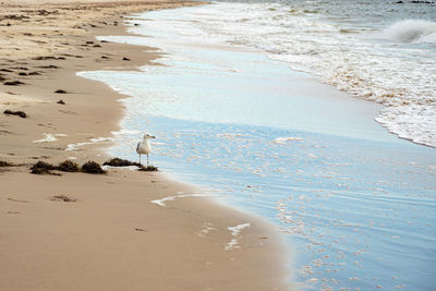 High angle view of beach