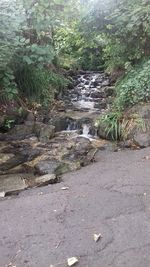 Stream flowing through rocks in forest