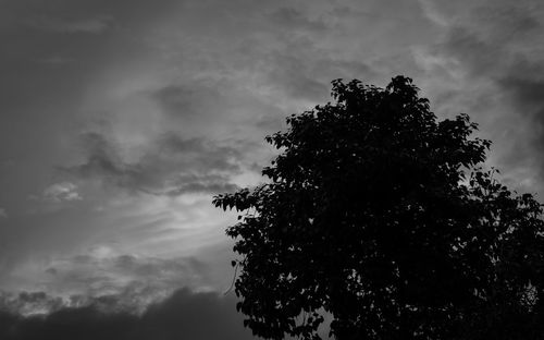 Low angle view of silhouette tree against sky