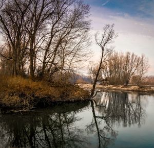 Reflection of bare trees in lake against sky