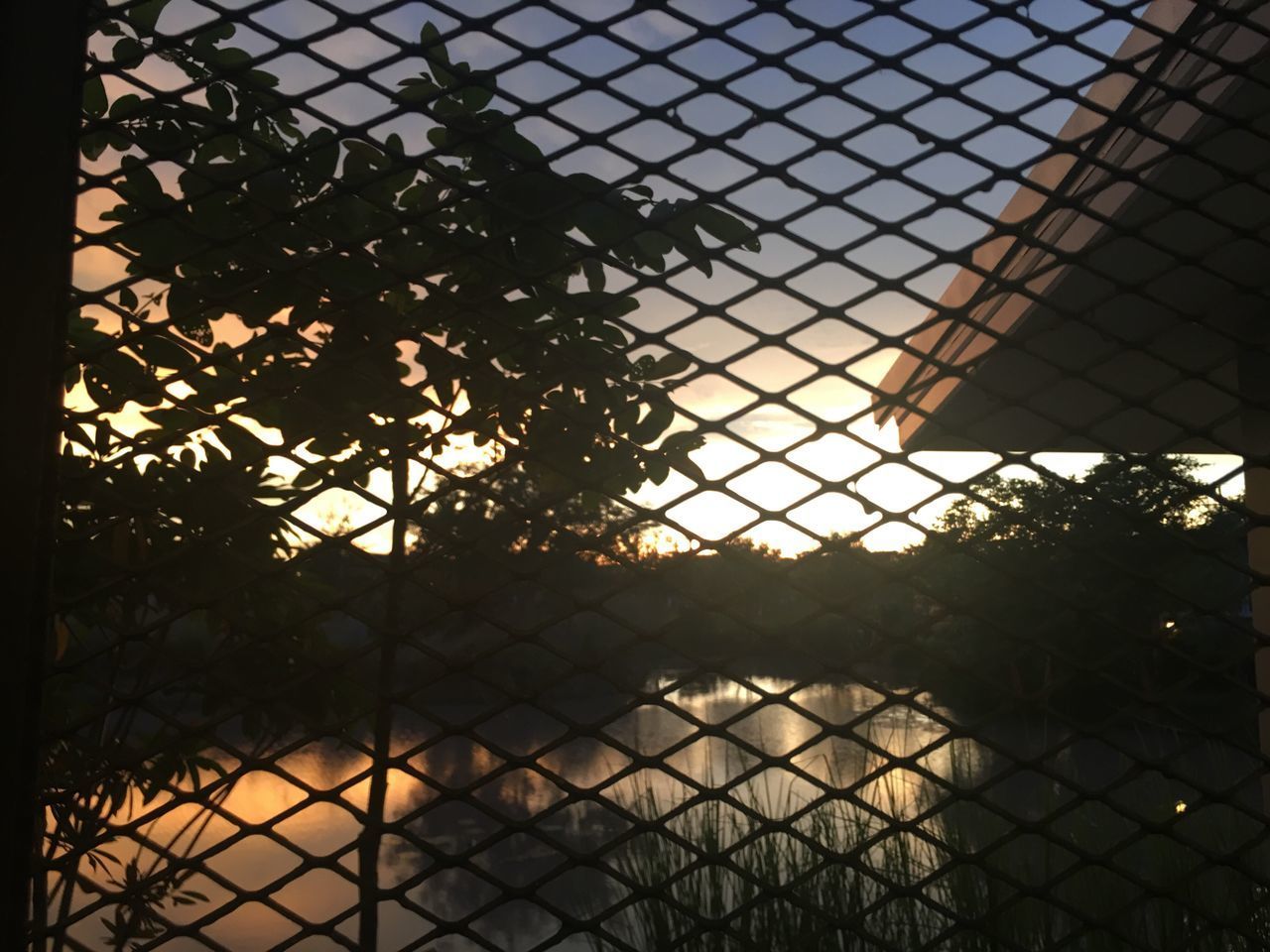 CLOSE-UP OF CHAINLINK FENCE AGAINST TREE IN CITY