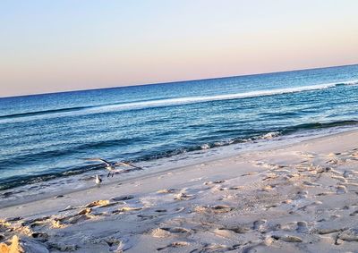 Scenic view of beach against clear sky