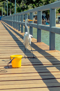 Close-up of umbrella on pier over footpath during sunny day