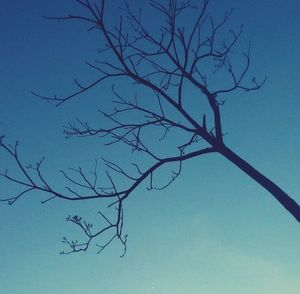 Low angle view of bare tree against clear blue sky