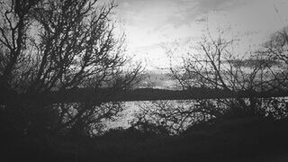 Reflection of trees in lake