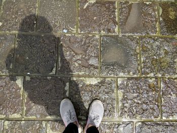 Low section of person standing outdoors