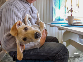 Close-up of woman holding dog sitting on sofa at home