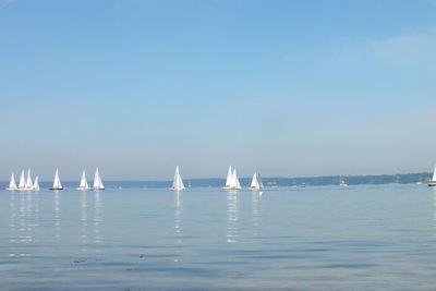 Sailboats sailing in sea against clear sky