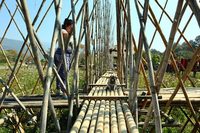 Full length of woman with dog standing on wooden built structure