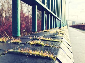 Close-up of railing and bridge in city