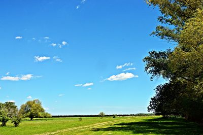 Scenic view of grassy field against cloudy sky