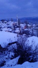 Snow covered trees in city