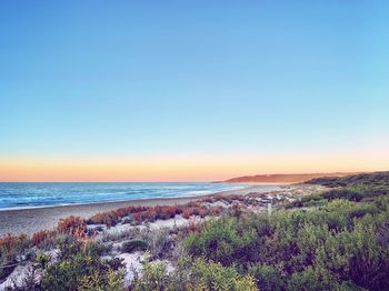 Scenic view of sea against clear blue sky