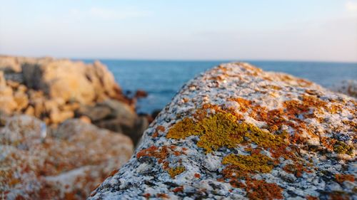 Close-up of rock by sea against sky