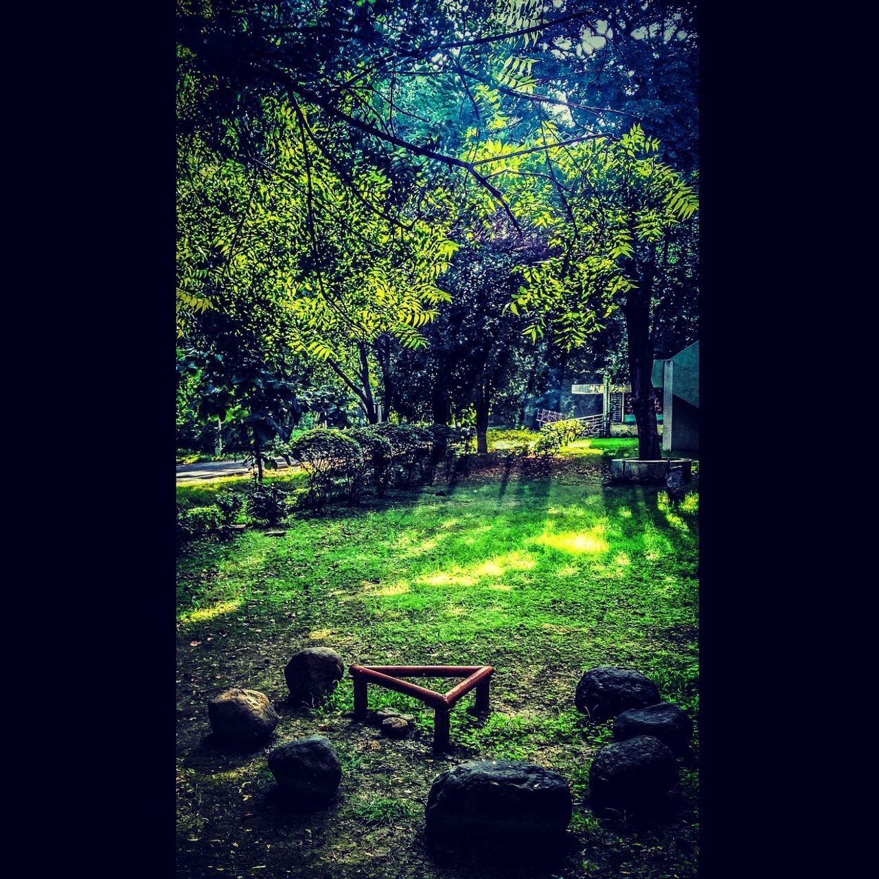 green color, growth, sky, real people, grass, day, nature, tree, outdoors, architecture