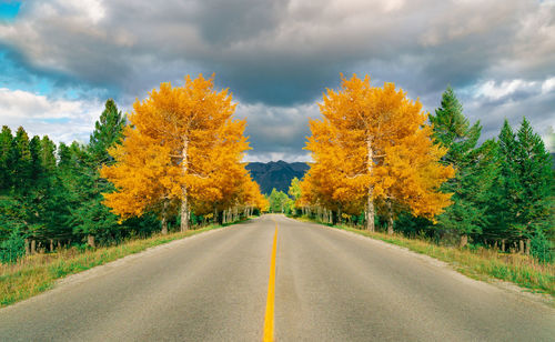 Road amidst trees against sky during autumn