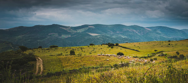 Scenic view of landscape and mountains against sky