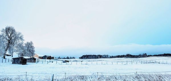 Winter rural barn