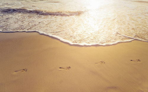 High angle view of footprints at beach