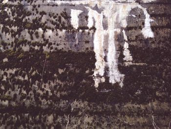 Close-up of weathered wall