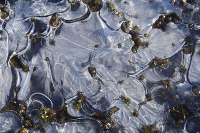 Full frame shot of water