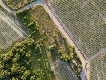 High angle view of agricultural landscape