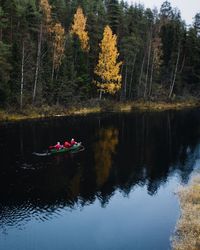 Scenic view of lake against trees in forest