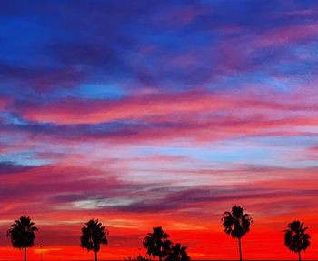 Low angle view of silhouette trees against dramatic sky