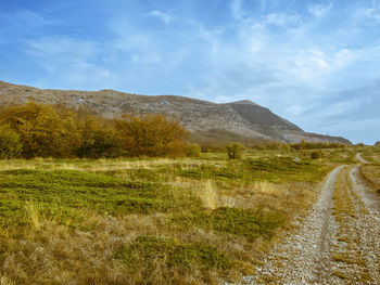 Scenic view of road amidst field against sky