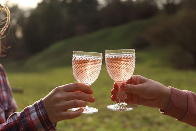 Two female hands, glasses with rose wine, picnic outdoors