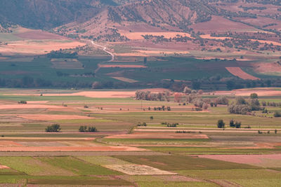 Scenic view of agricultural field