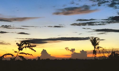 Silhouette trees on landscape against sky during sunset