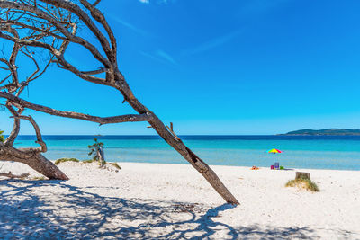 Scenic view of beach against clear blue sky