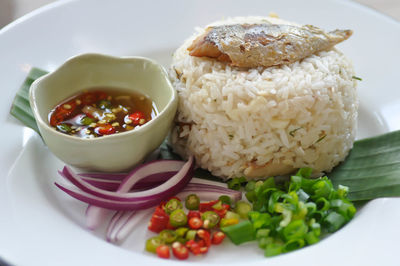 Close-up of meal served in plate