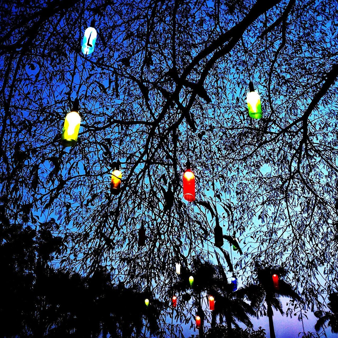 LOW ANGLE VIEW OF ILLUMINATED LANTERNS ON TREE