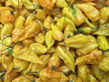 Full frame shot of hot yellow peppers