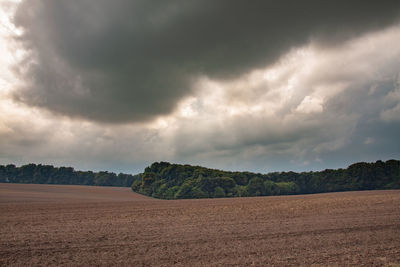 Scenic view of field against sky