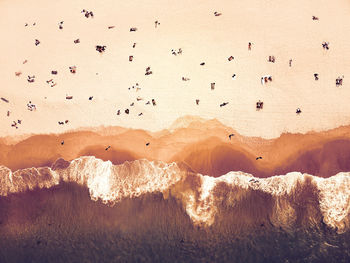 View of birds flying over land