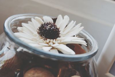 High angle view of white flower in jar on table