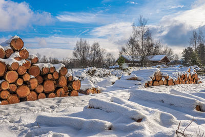 Stack of logs on snow field against sky