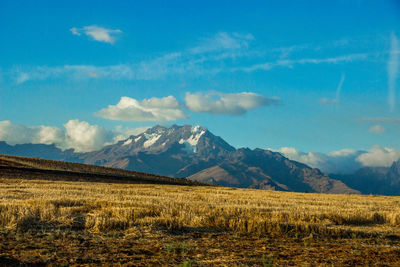 Scenic view of field against sky