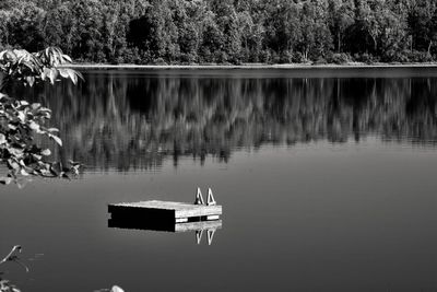 Reflection of trees in lake