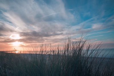 Scenic view of sunset over field