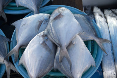 Close-up of fish for sale at market