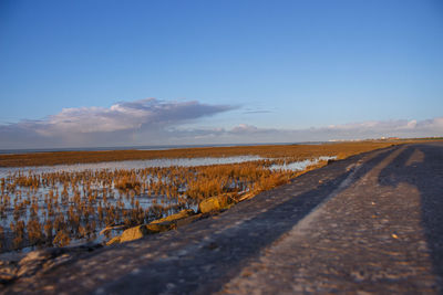 Surface level of road on field against blue sky